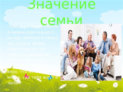 Ощущение ответственности: значение снов с изобилием малышей собак