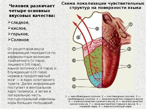 Падение качества пара и вкуса