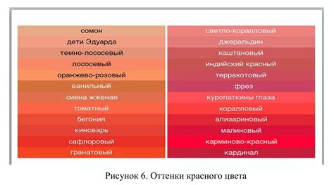 Палитра выделений: почему оттенок может изменяться и как это связано со здоровьем