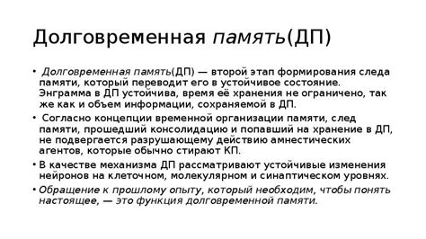 Память: таинственные механизмы