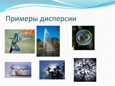 Парашюты в мире растений: плендеры и поздняя дисперсия