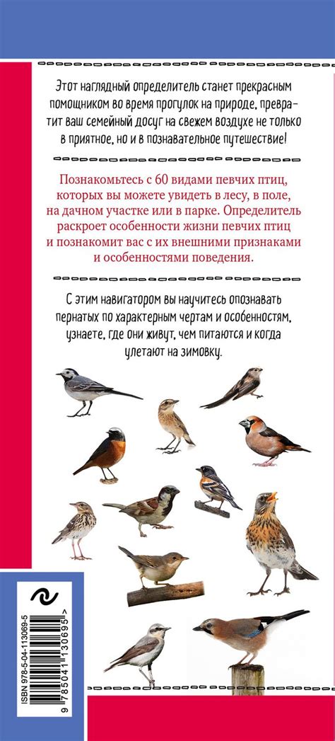 Певчие птицы: главные обитатели малиновых кустов
