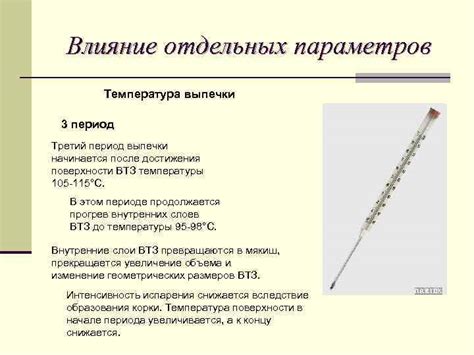 Пекарская мастерская: оптимальное время и температура для достижения идеальной выпечки