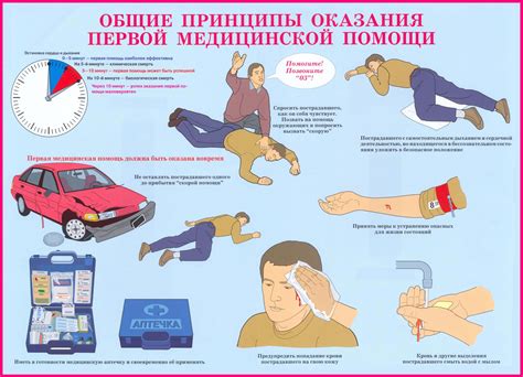 Первая помощь для пернатого друга: действия перед освобождением от смолы