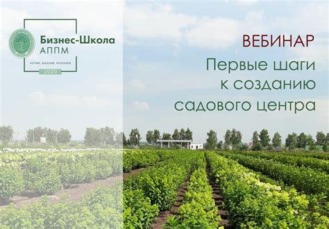 Первые шаги к созданию ароматной брынзы