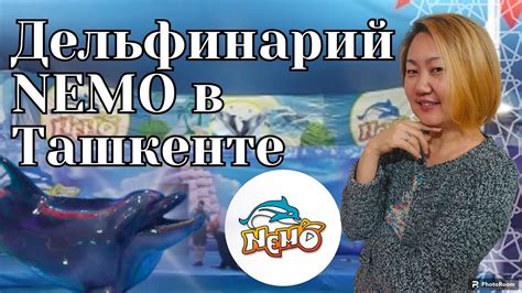 Первый дельфинарий в Анапе - история и достижения
