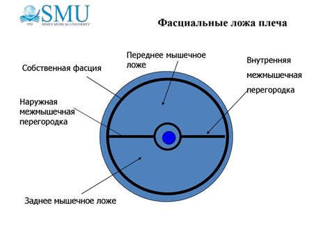 Первый признак гнойного процесса