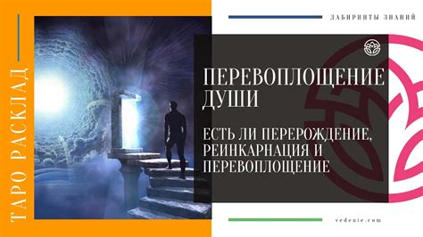Перевоплощение и перерождение