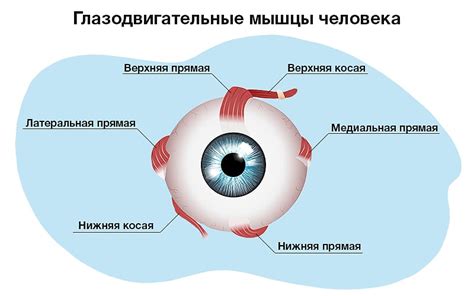 Перегрузка глазных мышц