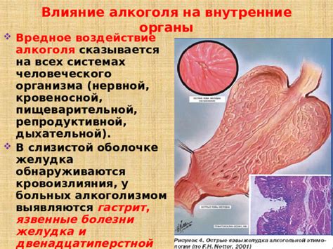 Перенасыщение желудка и негативное воздействие на работу пищеварительной системы