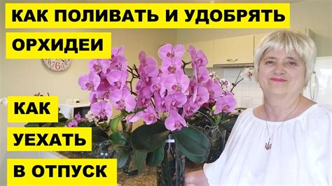 Перестаньте поливать и удобрять