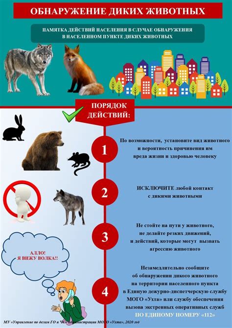 Перечень предосторожностей для предотвращения несчастных случаев