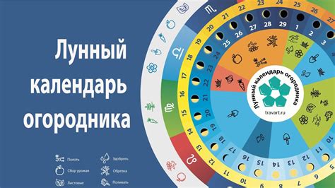 Периодические трансформации природных процессов в 23 числе сентября согласно лунному календарю