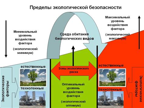 Перспективы развития классификации автомобилей по экологической безопасности в перспективе