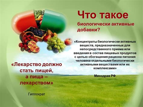 Питание: основной фактор оздоровления и восстановления жизненной энергии