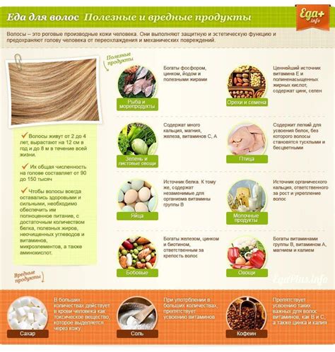 Питание и здоровье волос