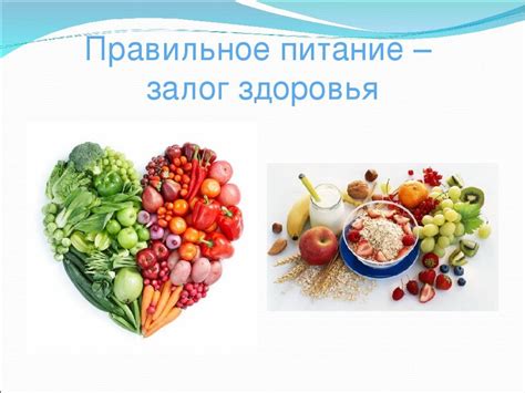 Питание и режим питания: залог здоровья