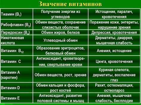 Пищевые группы и их значение для организма