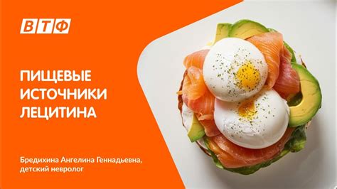 Пищевые источники привлекают внимание дятла