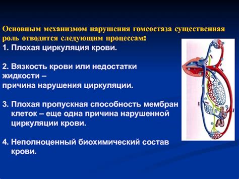Плохая циркуляция крови