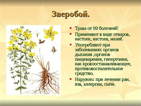 Побочные эффекты гликлазида