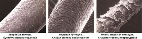 Повредительные факторы для состояния волос
