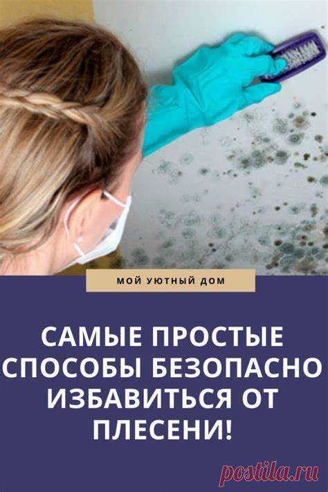 Повторное соление грибов: причины возникновения плесени и способы ее предотвращения