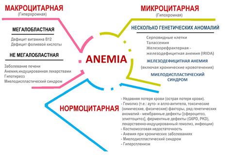 Повысьте усвоение железа для поддержания нормального уровня гемоглобина