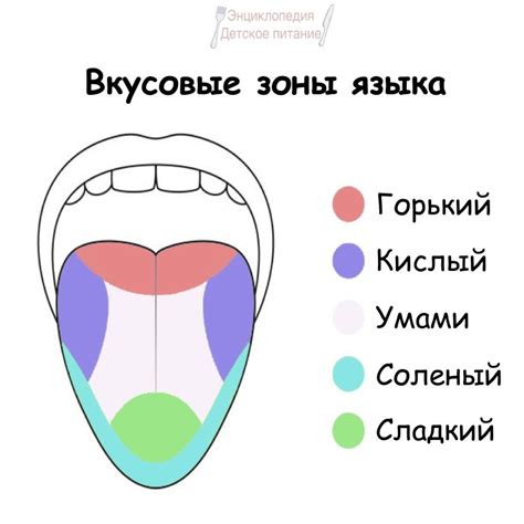 Повышение вкусовой остроты блюд