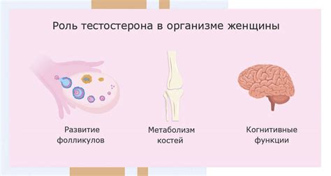 Повышение уровня тестостерона: роль цинка в гармонизации гормонального фона
