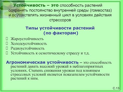Повышение устойчивости растений к стрессу: влияние ролевой янтарной кислоты