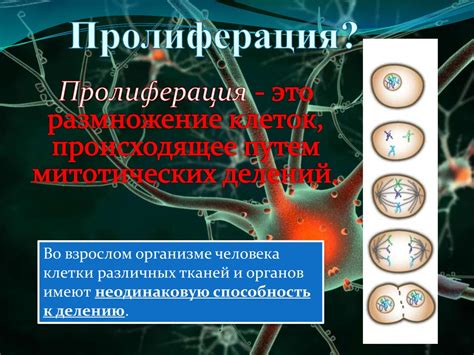 Повышенные выделения: возможные факторы пролиферации
