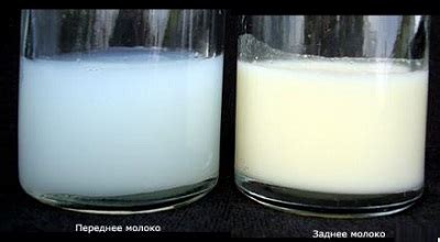 Погружение в молоко на несколько часов