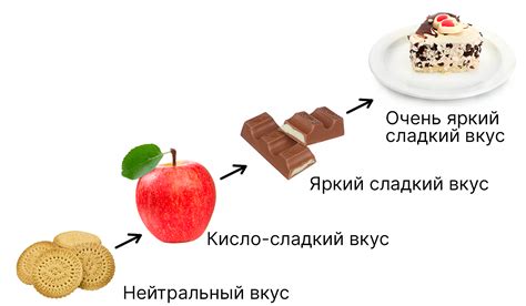 Подача и дегустация наливки: правила и нюансы