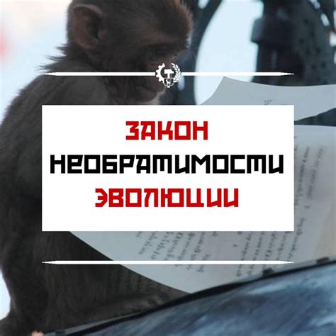 Подача правильной заявки на восстановление утраченных наград предыдущего поколения