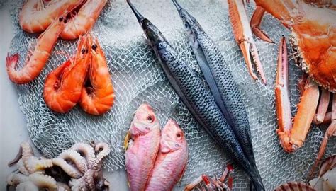 Подбор и размораживание ароматных и вкусных морепродуктов