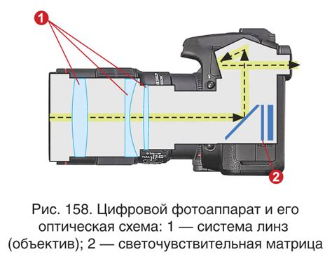 Подбор оптимального фотоаппарата для изображений грибов через телемикроскоп
