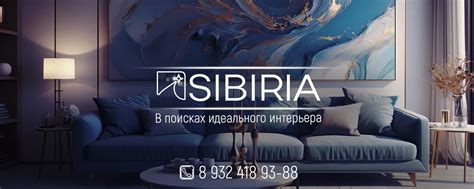 Подбор подходящего дизайна: в поисках идеального дорса