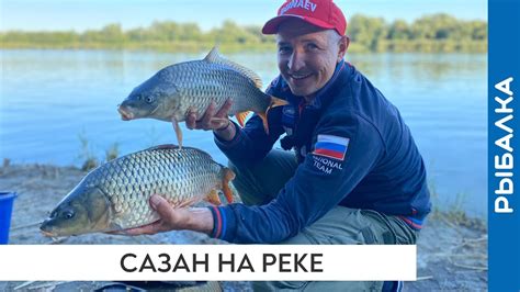 Подбор подходящего места для улова сазана в сентябре на реке Дон: рекомендации и советы