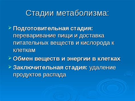 Подготовительная стадия установки инфузомата