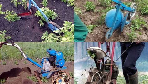 Подготовка грунта к созданию окучника для мотоблока "Каскад": важные особенности и рекомендации