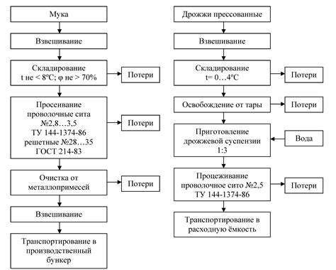 Подготовка и очистка сырья перед процессом обработки веществ Skyrim