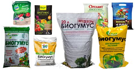 Подготовка и сбор биогумуса для приготовления питательного экологического настоя растениям
