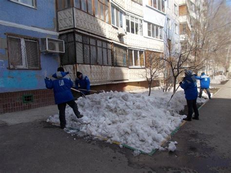 Подготовка и формирование внешнего облика коряги