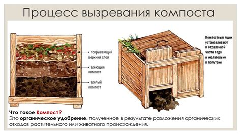 Подготовка компостной кучи для эффективной переработки