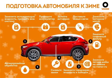 Подготовка к зиме: забота о цветущей растительности