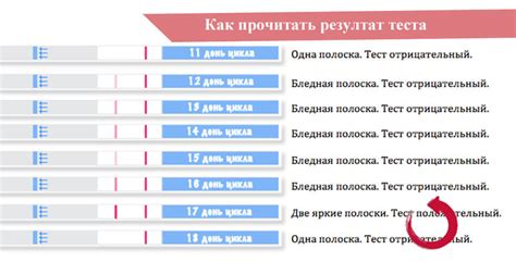 Подготовка к проведению теста на определение дней овуляции