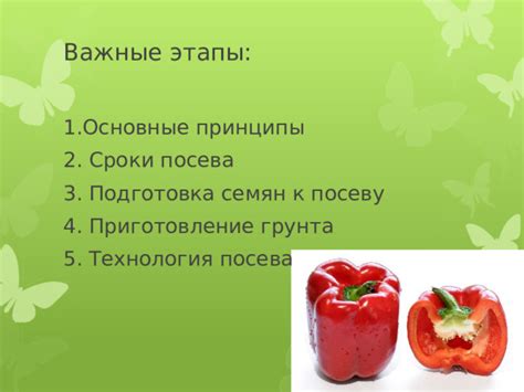 Подготовка к успешному КГГ: важные этапы