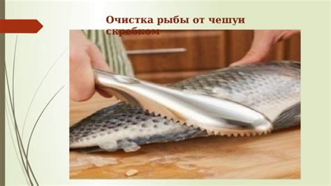 Подготовка рыбы к разделке: очистка и удаление головы