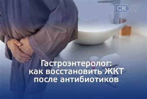 Поддержание баланса внутренней микрофлоры после курса антибиотиков